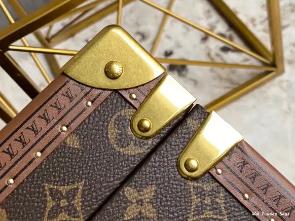 AAA Pruses Bags LOUIS COFFRET VUITTON ACCESSOIRES 0525